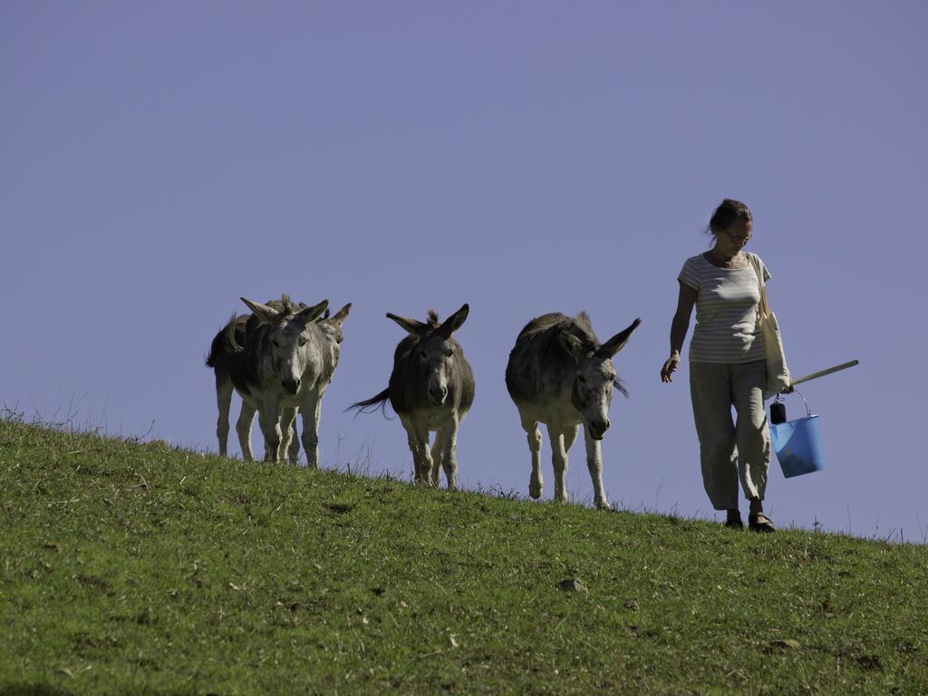 Le Silve Di Armenzano Ξενοδοχείο Ασίζη Εξωτερικό φωτογραφία