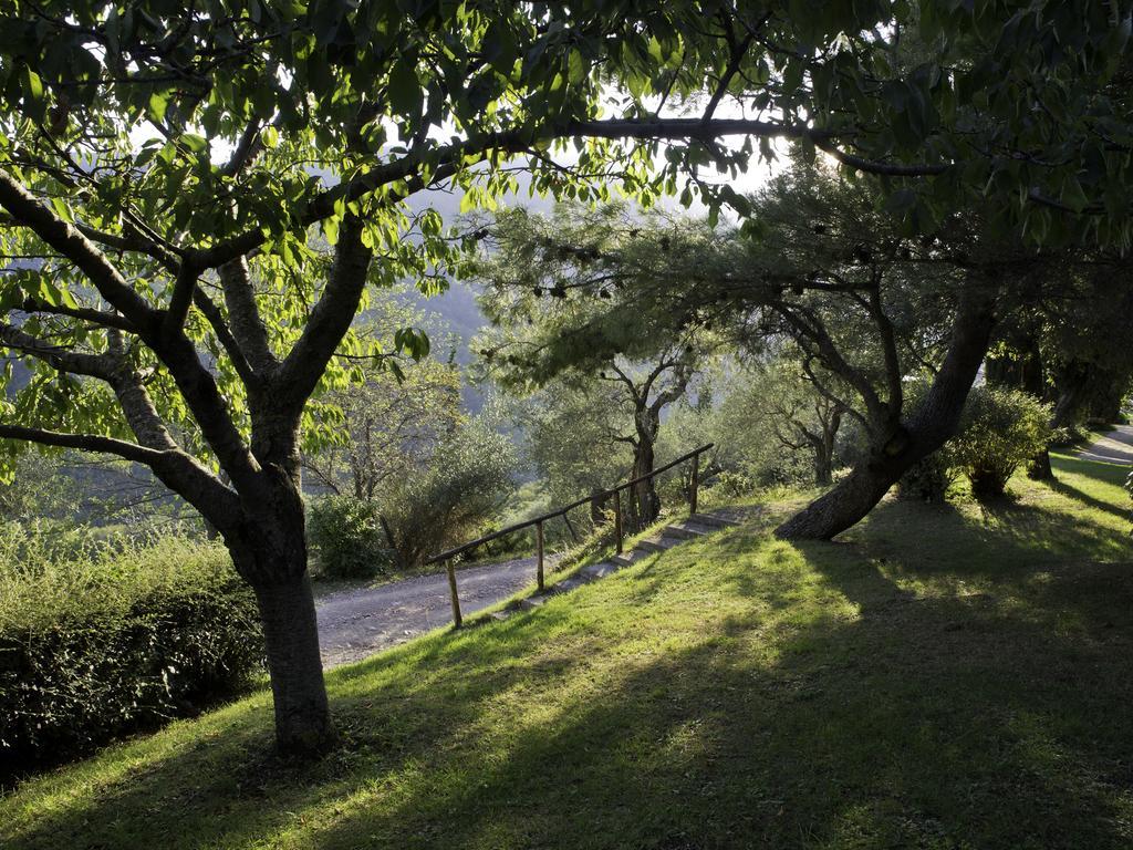 Le Silve Di Armenzano Ξενοδοχείο Ασίζη Εξωτερικό φωτογραφία