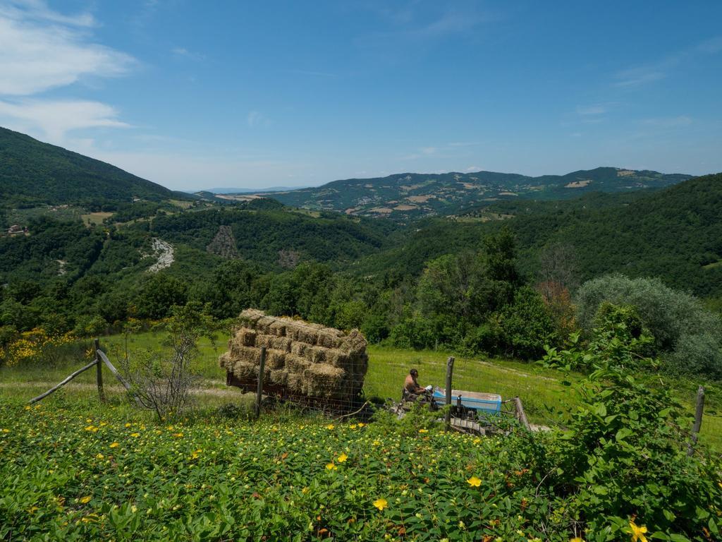 Le Silve Di Armenzano Ξενοδοχείο Ασίζη Εξωτερικό φωτογραφία